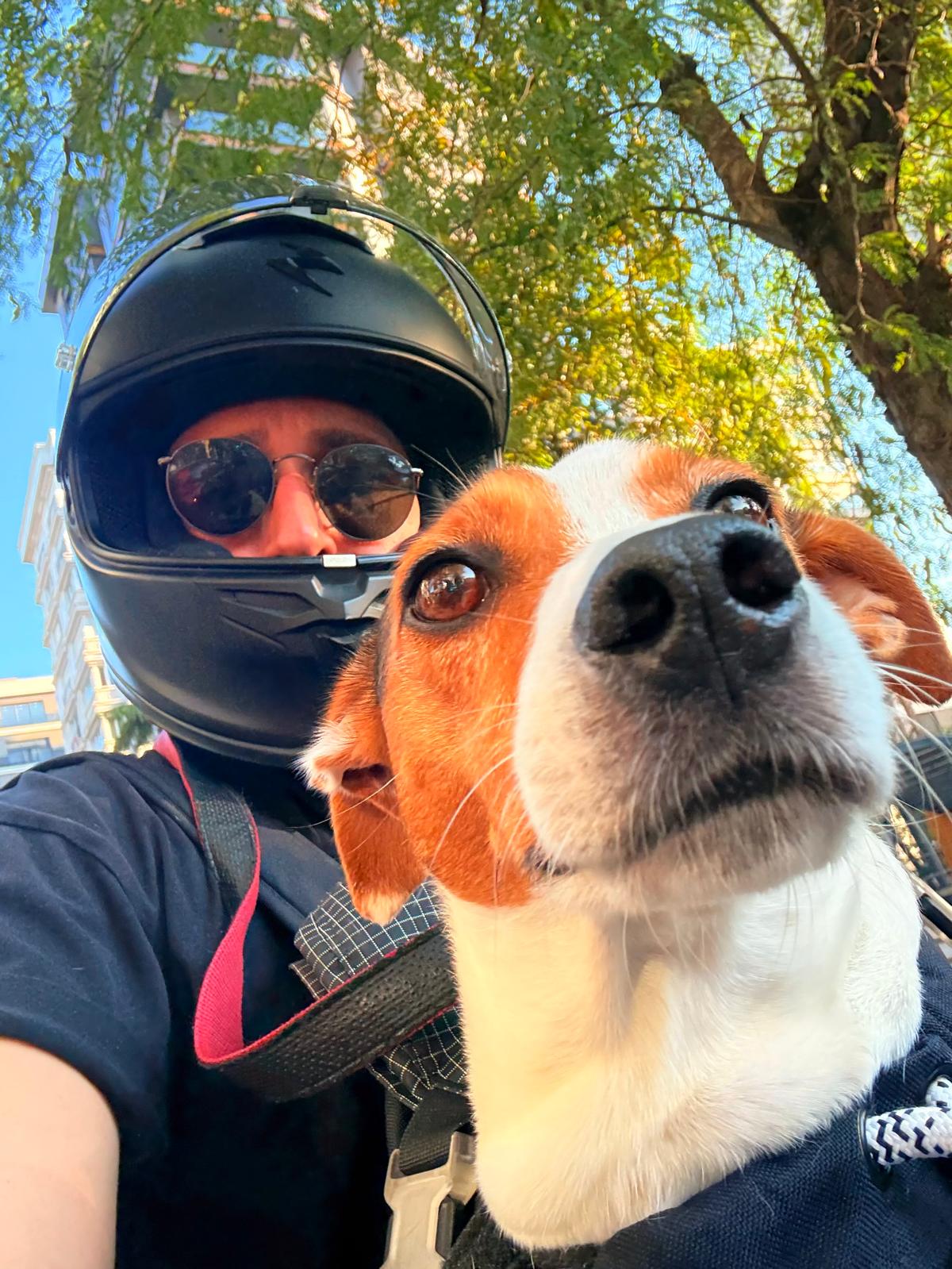 EMRE BULUT VE KÖPEĞİ LEO ÖLÜMDEN DÖNDÜ!