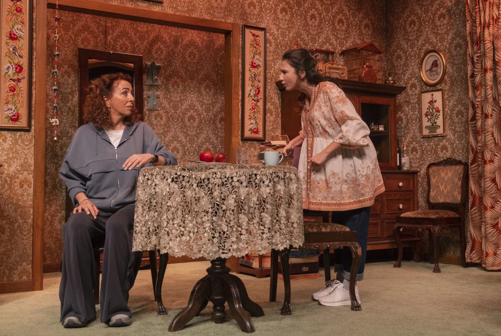 ‘BİR AİLE PROVASI: YAŞAYIN GİTSİN’