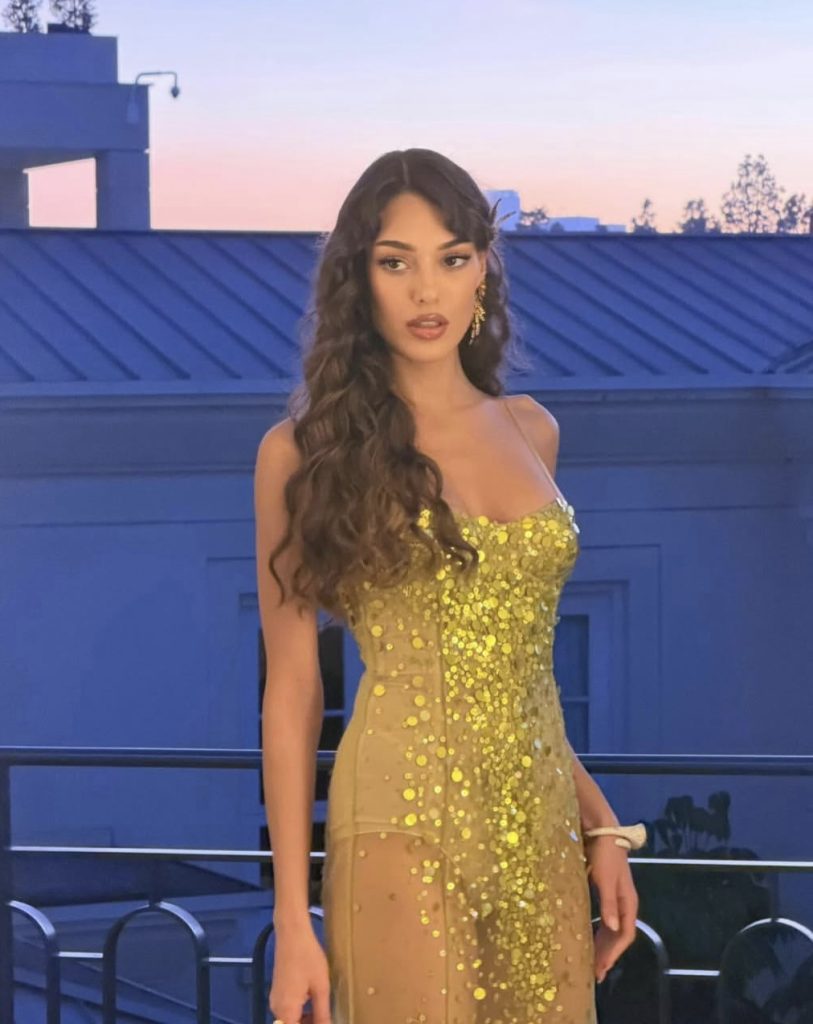 Dilan Çiçek Deniz Kimdir?